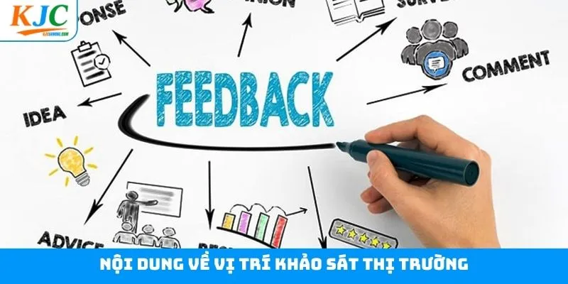 Vấn đề xoay quanh công việc khảo sát thị trường